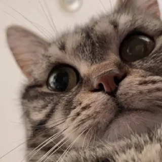 😐