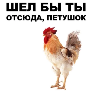 🤝