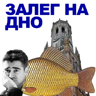 🐠