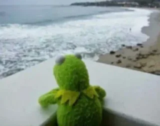 🌊
