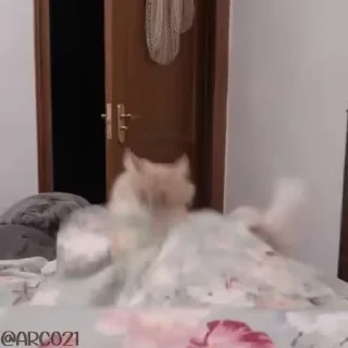 🙄
