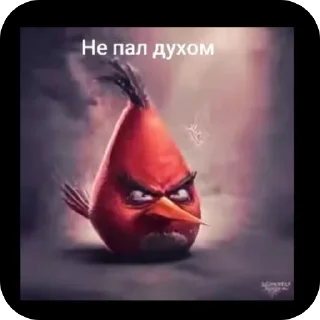 🫥