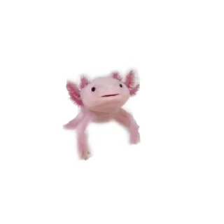 ❌