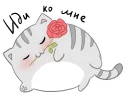 🌹