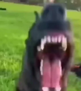 🤪
