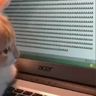 🫠