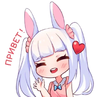 ✋