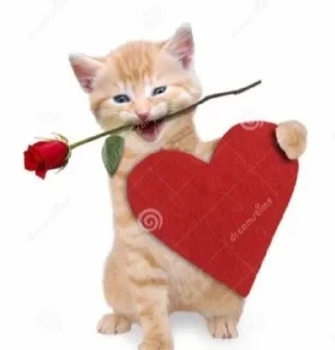 🌹