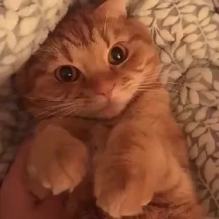 😍