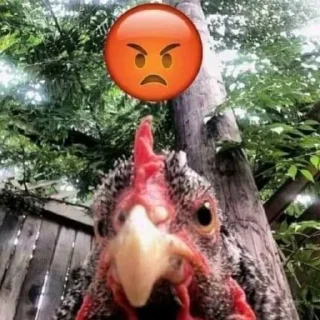 😡