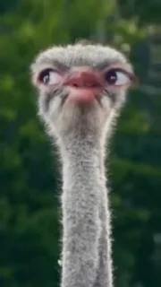 😀