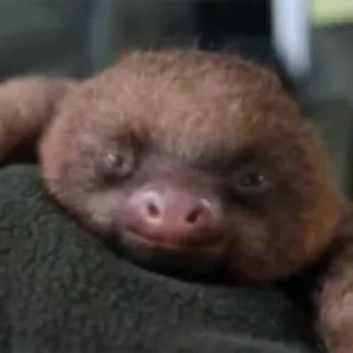 😮