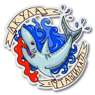 🦈