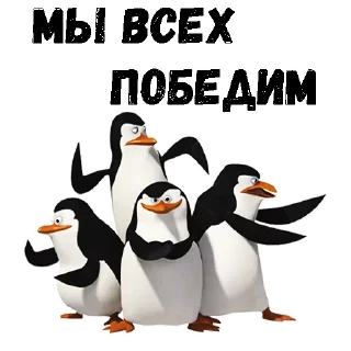 💪