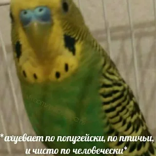 😖
