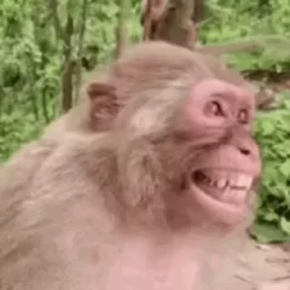 🤣