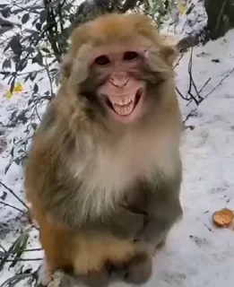 😃