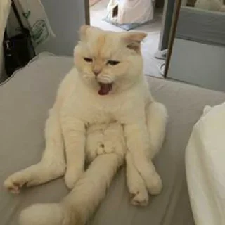 😫