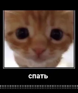 😴