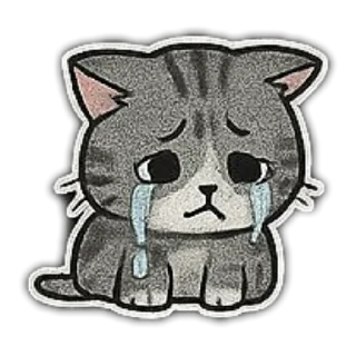 🐱