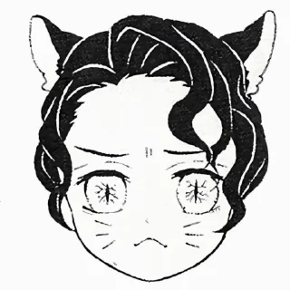😽