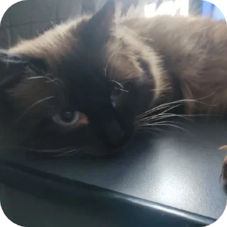 😐