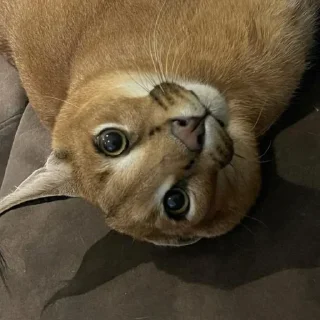 🙃