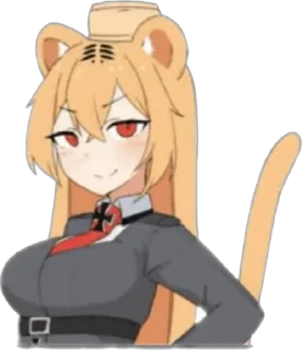 😼