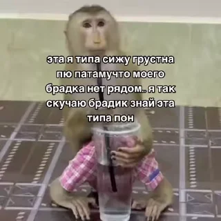 🐵