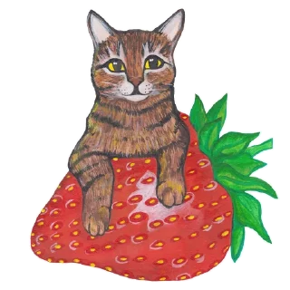 🍓