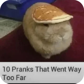 🍲