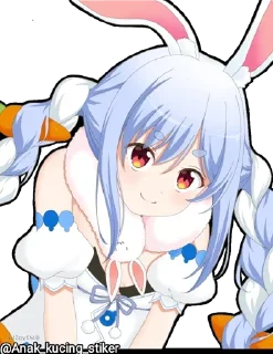 🐇