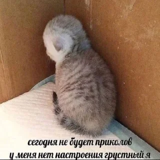😔
