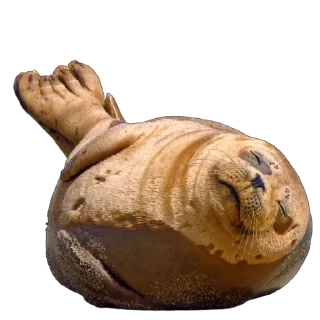 🦭