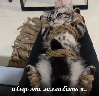 🔞