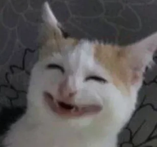 🙂