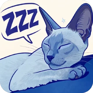 😴