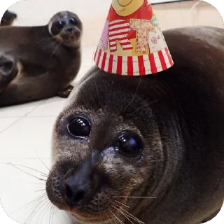 🥳
