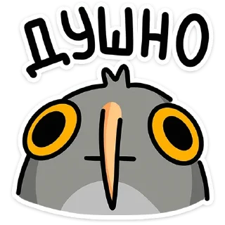 🦉