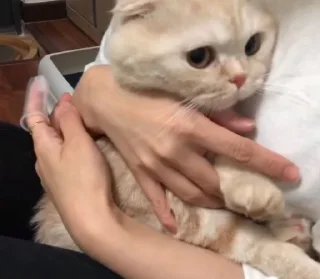 😍