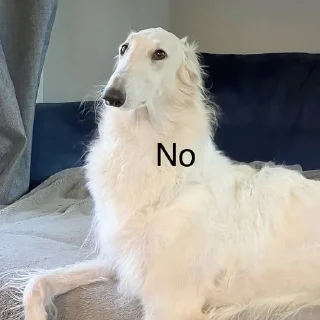 🥲
