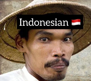 🇮🇩