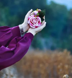 🌹