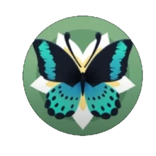 🦋