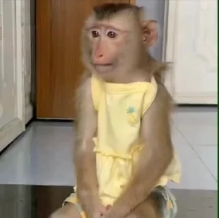 🌟