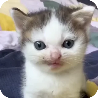 🙂