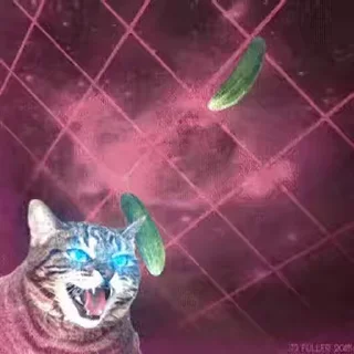 🥒