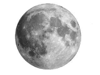 🌑