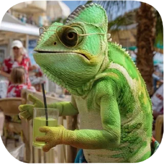 🦎