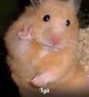 👃